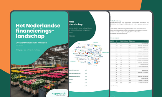 Het Nederlandse fianancieringslandschap. 2025